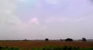 Tibbi, Haryana 134204, India preview 2