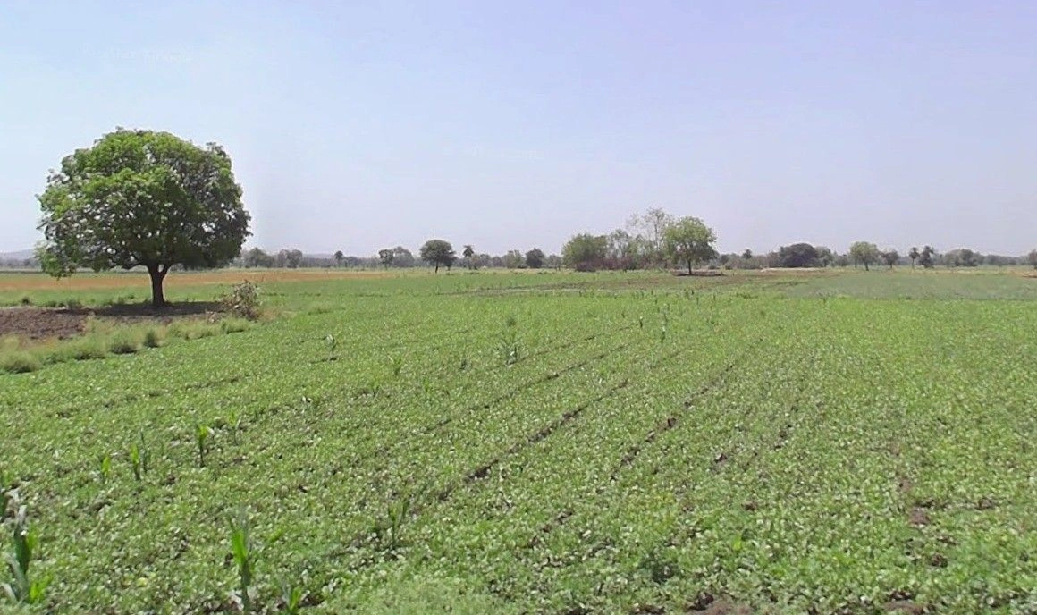 Pirbarkheda, Madhya Pradesh, India preview 3