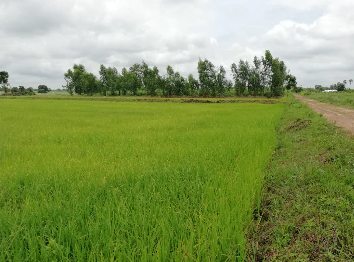 6789, Alwar, Jatoli, Rajasthan 301001, India