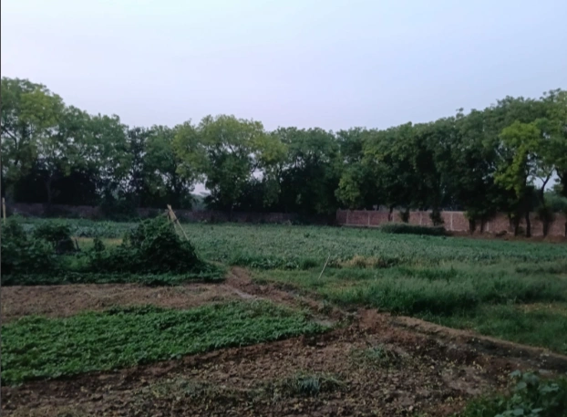 MMX5+C5 Rata Khurd, Khairthal-Tijara, Rajasthan, India