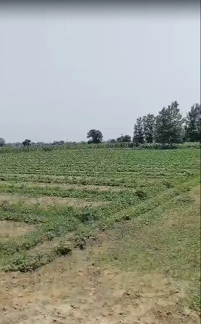 Madhapur Mozampur, Uttar Pradesh 245207, India preview 4