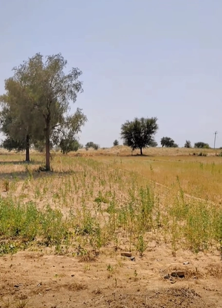 4GC6+HG Nandigama, Medak, Telangana, India - Photo 1