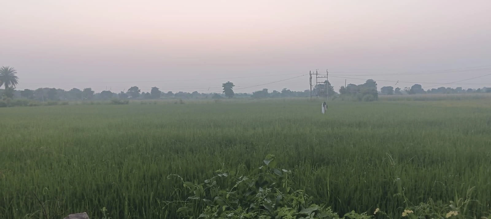 CR7H+RJ4, Shivpuri, Bhada Bawadi, Madhya Pradesh 473551, India