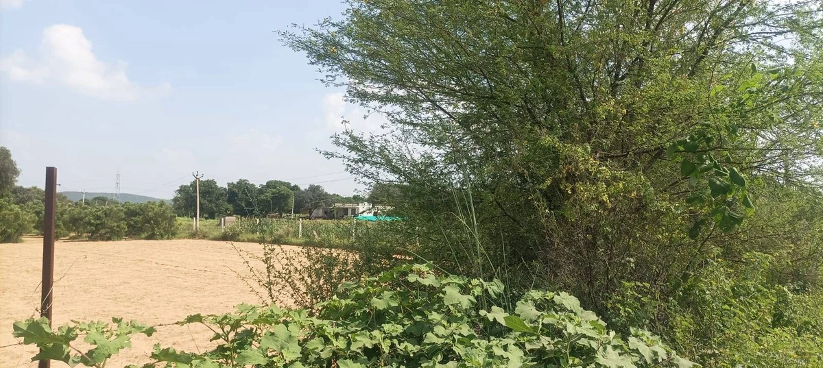 H3MR+425, Mahatgaon, Rajasthan, India