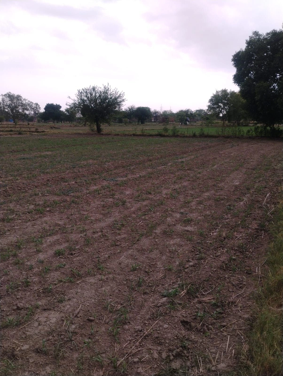 Chaumuhan, Mathura, Uttar Pradesh 281406, India