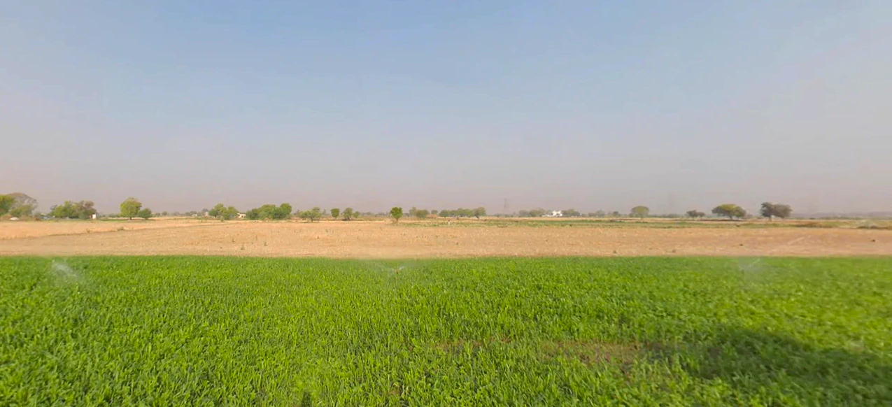 Choroti Istmurar, Rajasthan 301001, India