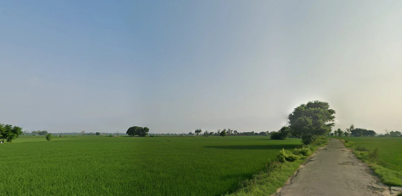Kalwa, Punjab 147021, India