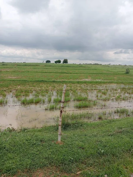 Turgawan, Uttar Pradesh, India preview 3