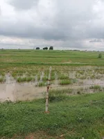 Turgawan, Uttar Pradesh, India preview 3