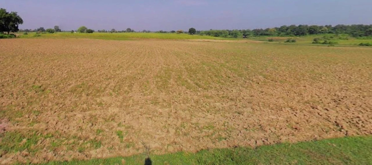 Barnagar, Madhya Pradesh 456771, India
