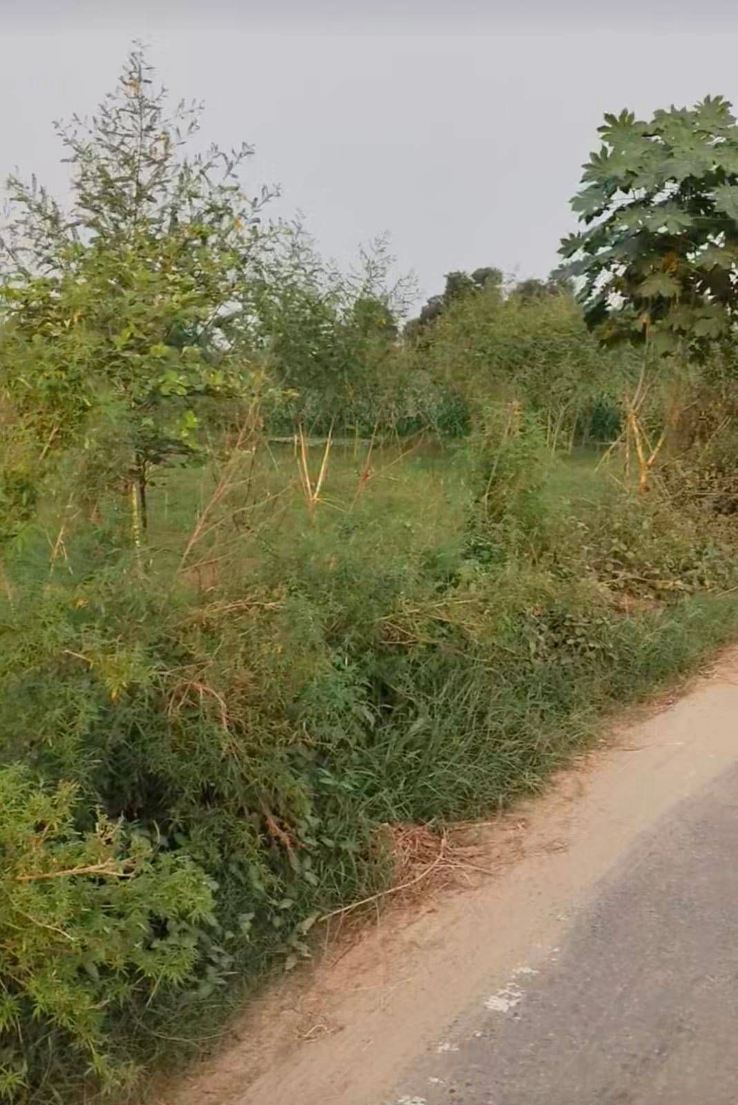 Goraula, Aligarh, Uttar Pradesh 202165, India