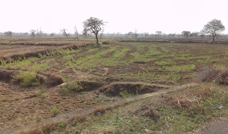 Aurethi, Chhattisgarh 493101, India preview 3