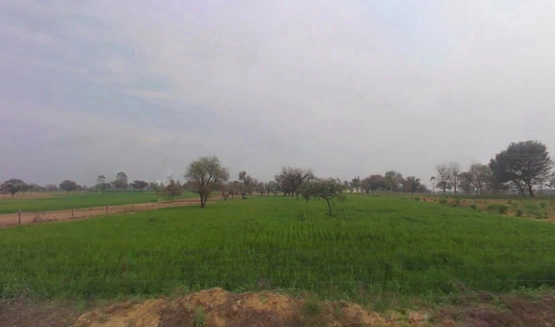 8C76+VXV, Lamiyan, Rajasthan, India