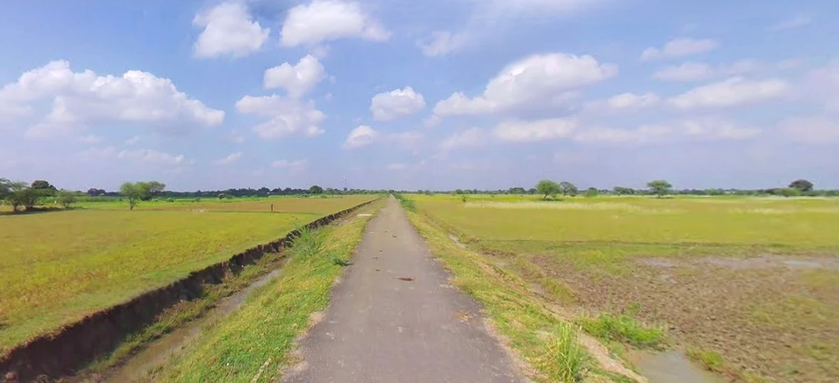 Bijnor, Uttar Pradesh 246701, India