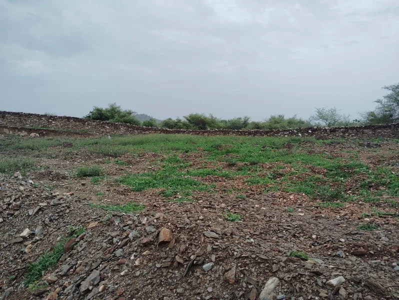 203, Junaguda, Delwara, Peepalwas, Rajasthan 313202, India preview 3