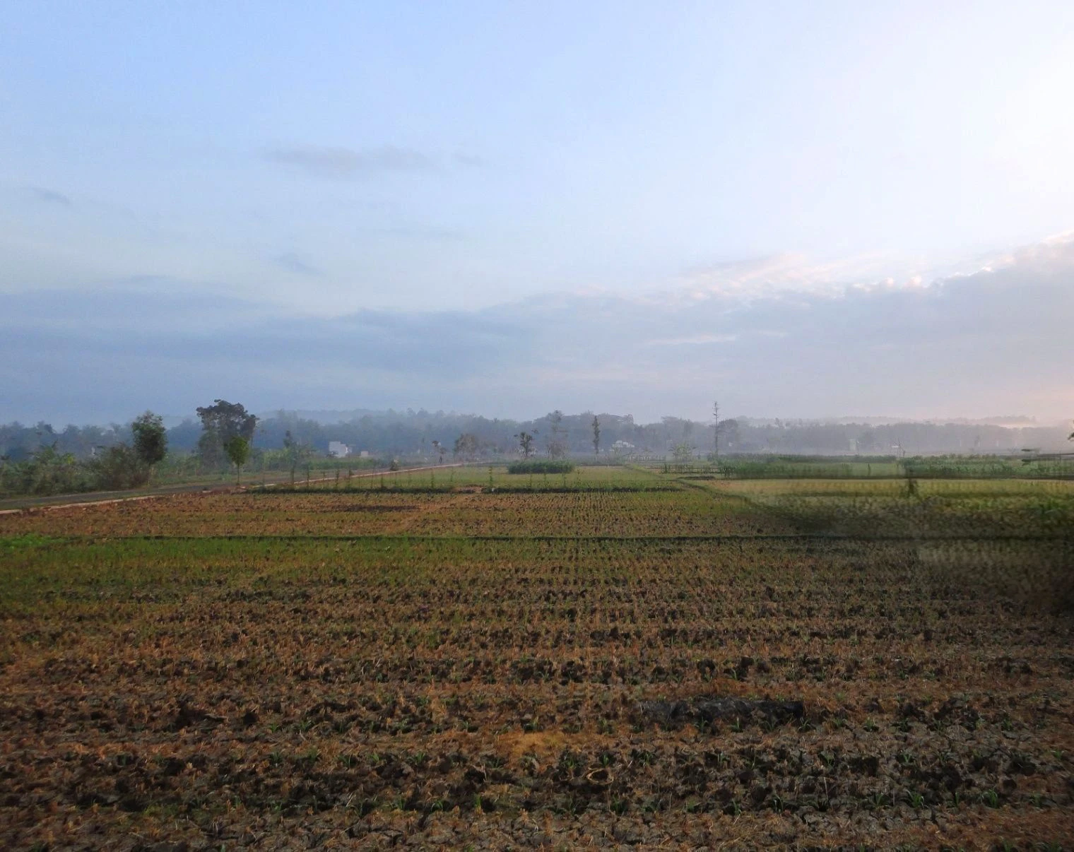 Kareeriya, Rajasthan, India