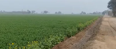 A-1121, Rani Ka Bagh, Mohindra Colony, Amritsar, Punjab 143001, India preview 3