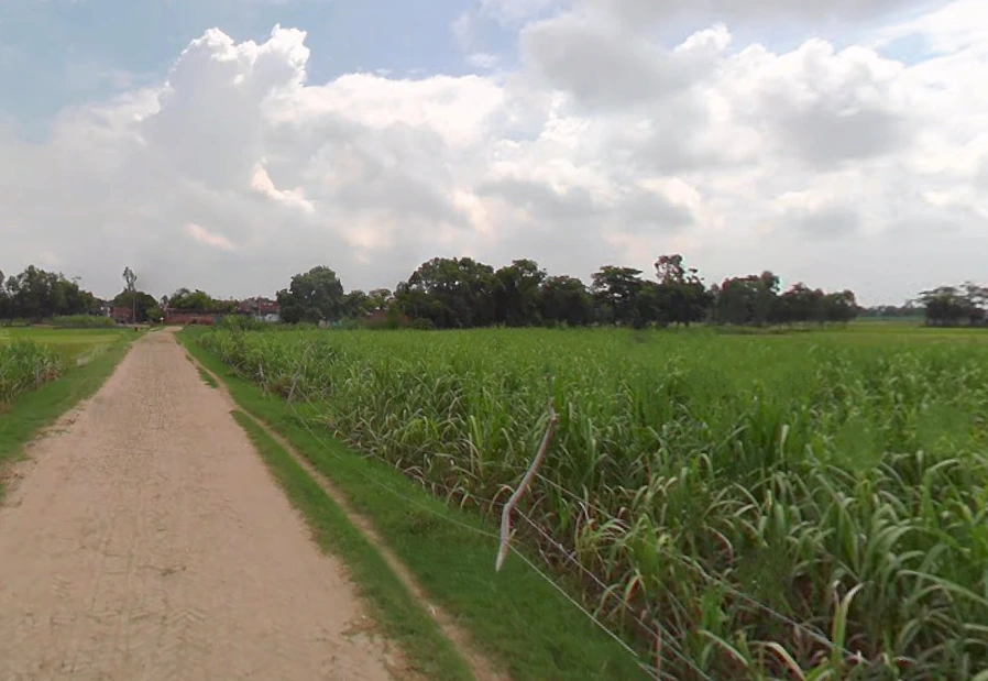 Nawabganj, Uttar Pradesh 262406, India