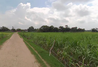 Nawabganj, Uttar Pradesh 262406, India preview 3