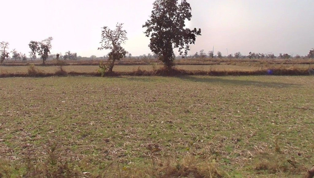 Chandan, Chhattisgarh 491335, India preview 3