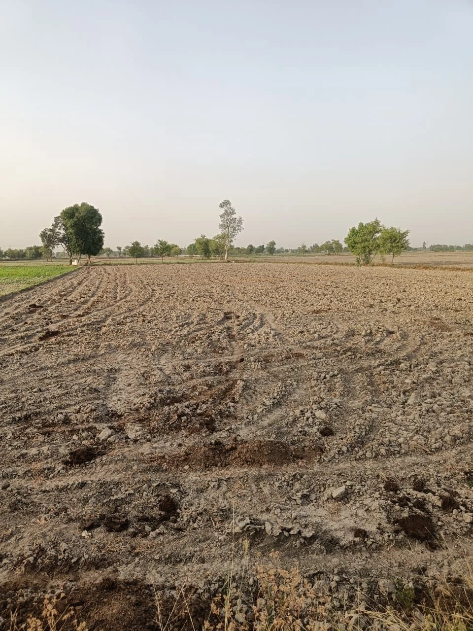 Bhoopsera, Rajasthan 301402, India