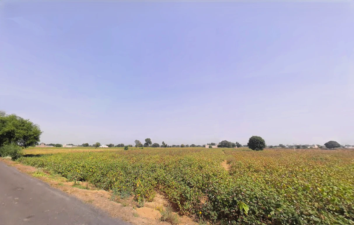 Ghursal, Haryana 125052, India