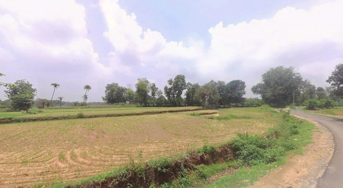 J5FR+QCG, Varwariya, Rajasthan 321022, India