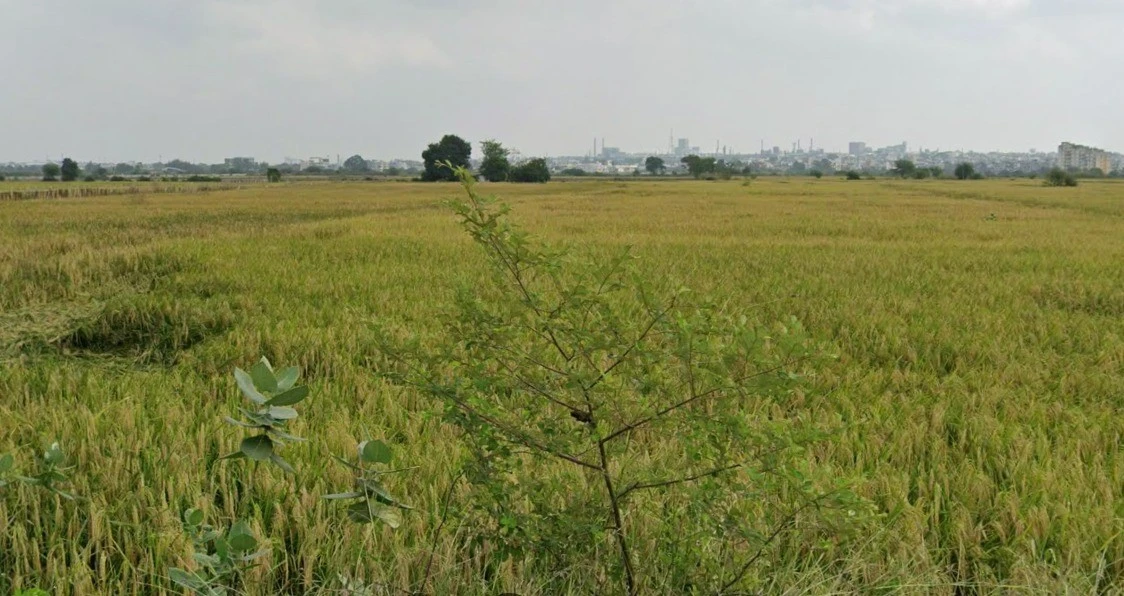 4FXV+2MR, NH 46, Indus Towne, Ratanpur Sadak, Bhopal, Madhya Pradesh 462047, India