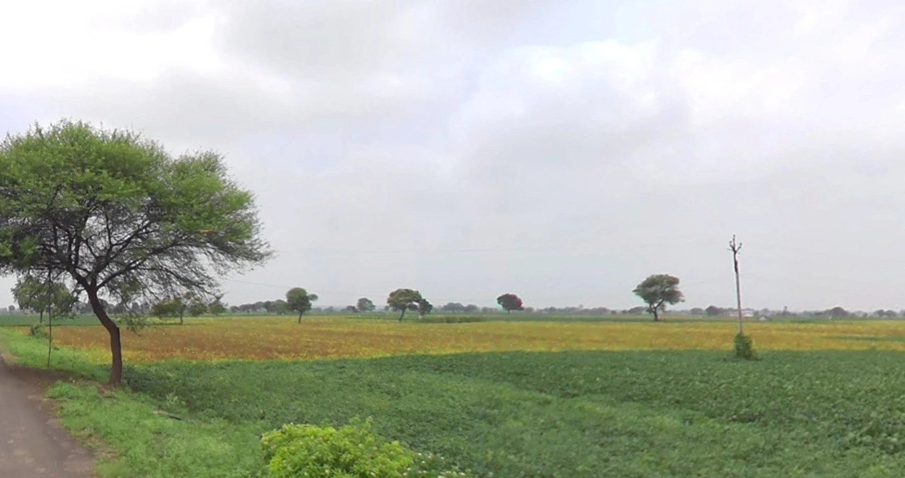 Rajgarh, Madhya Pradesh 465661, India