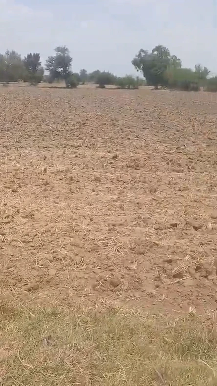 VR8C+F3 Teetarka, Khairthal-Tijara, Rajasthan, India