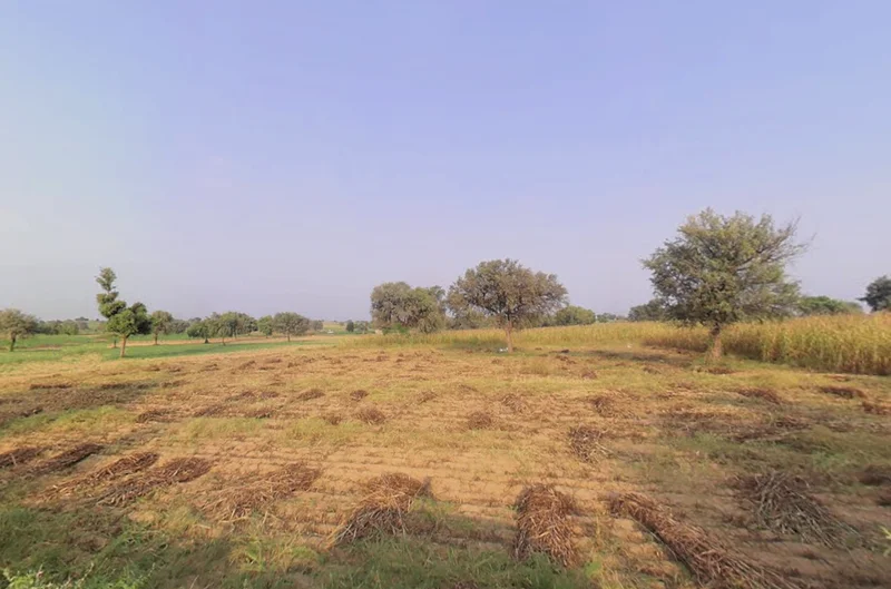 Siwani, Haryana 127046, India preview 3