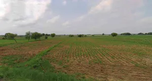 Kurukshetra, Haryana, India preview 3