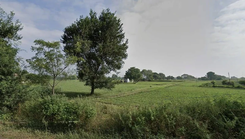 Jamuniya, Madhya Pradesh, India preview 3