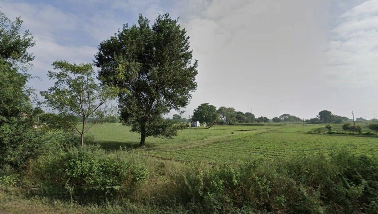 Jamuniya, Madhya Pradesh, India