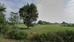 Jamuniya, Madhya Pradesh, India preview 3