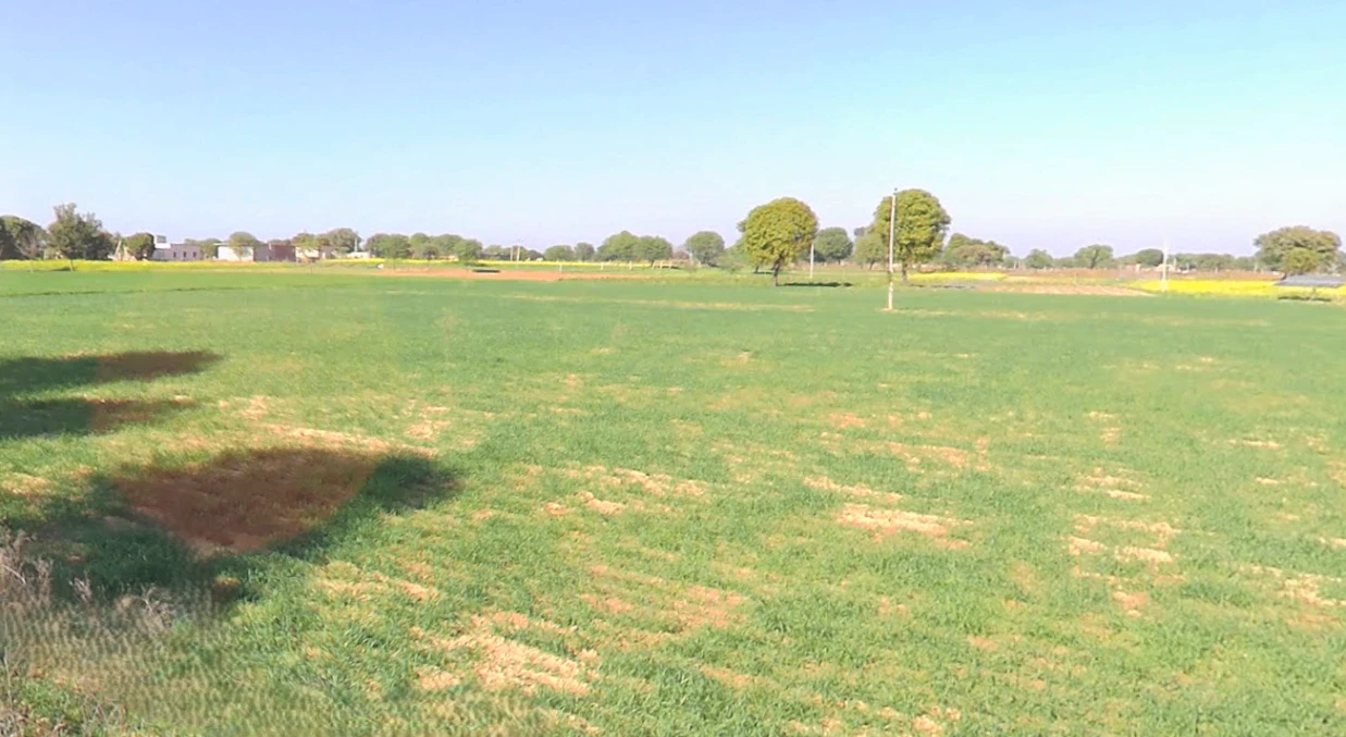 Nangal Koju, Rajasthan, India