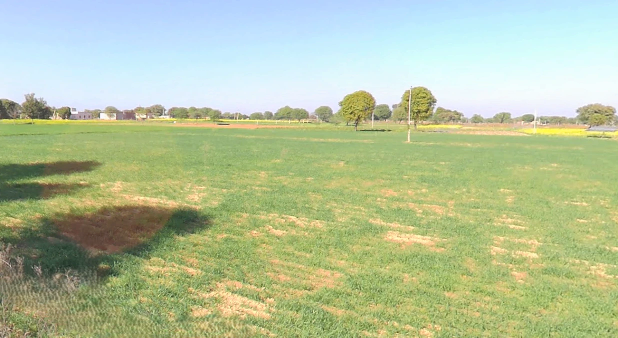 Nangal Koju, Rajasthan, India