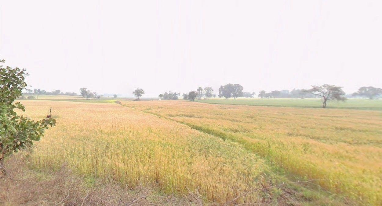 Manikhedi, Madhya Pradesh 462101, India