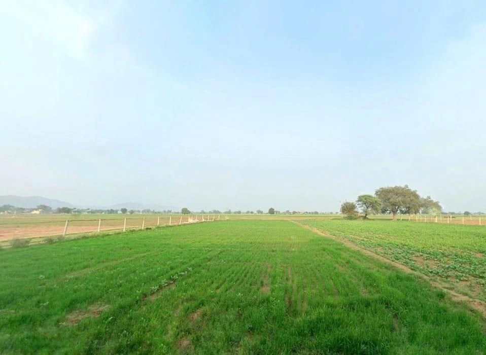 Nadka, Rajasthan, India