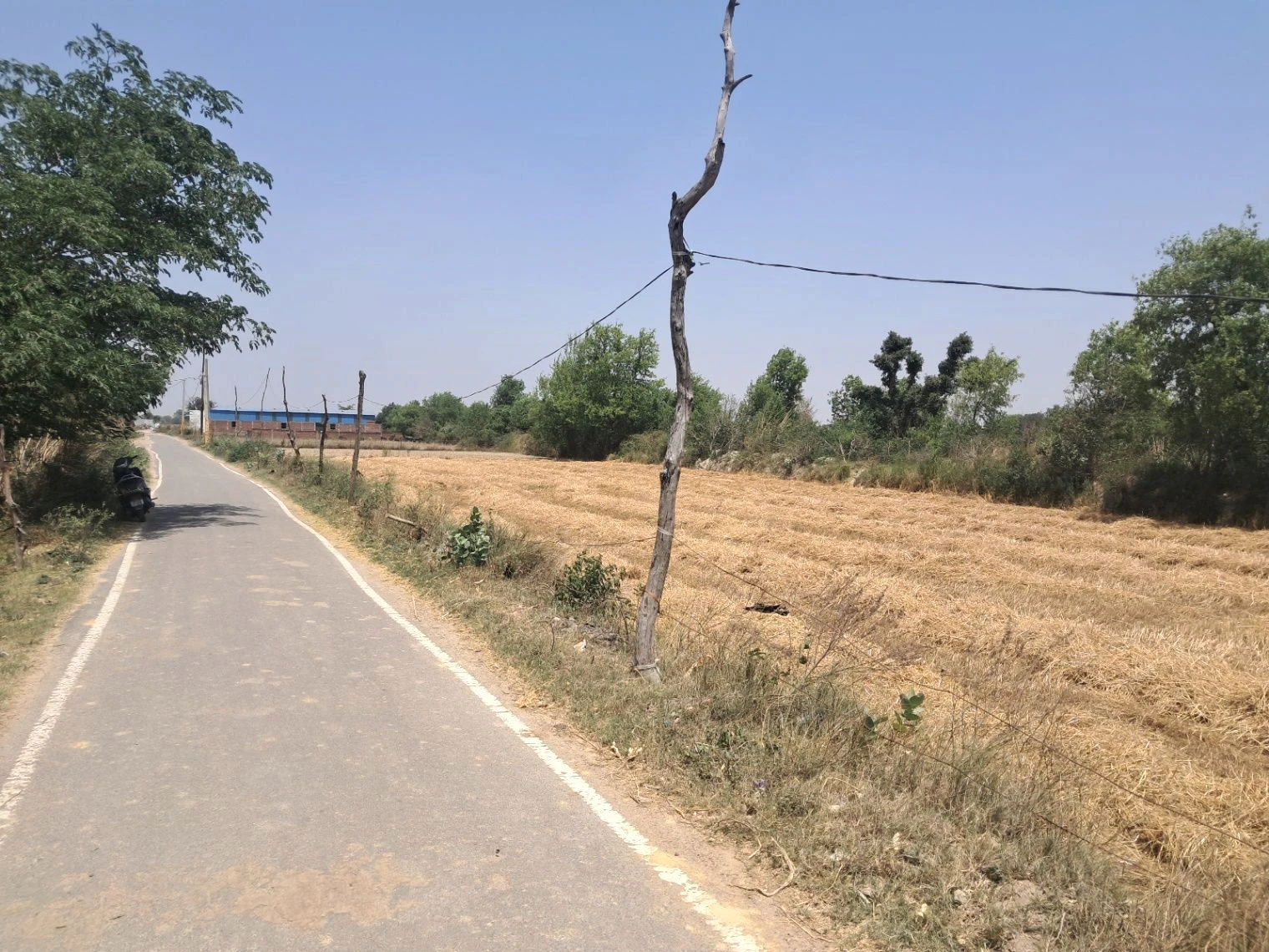 M5R2+94 Mainuddinpur, Uttar Pradesh, India