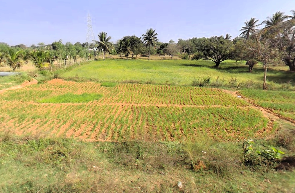 Solur, Karnataka 562127, India