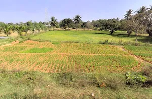 Solur, Karnataka 562127, India preview 3