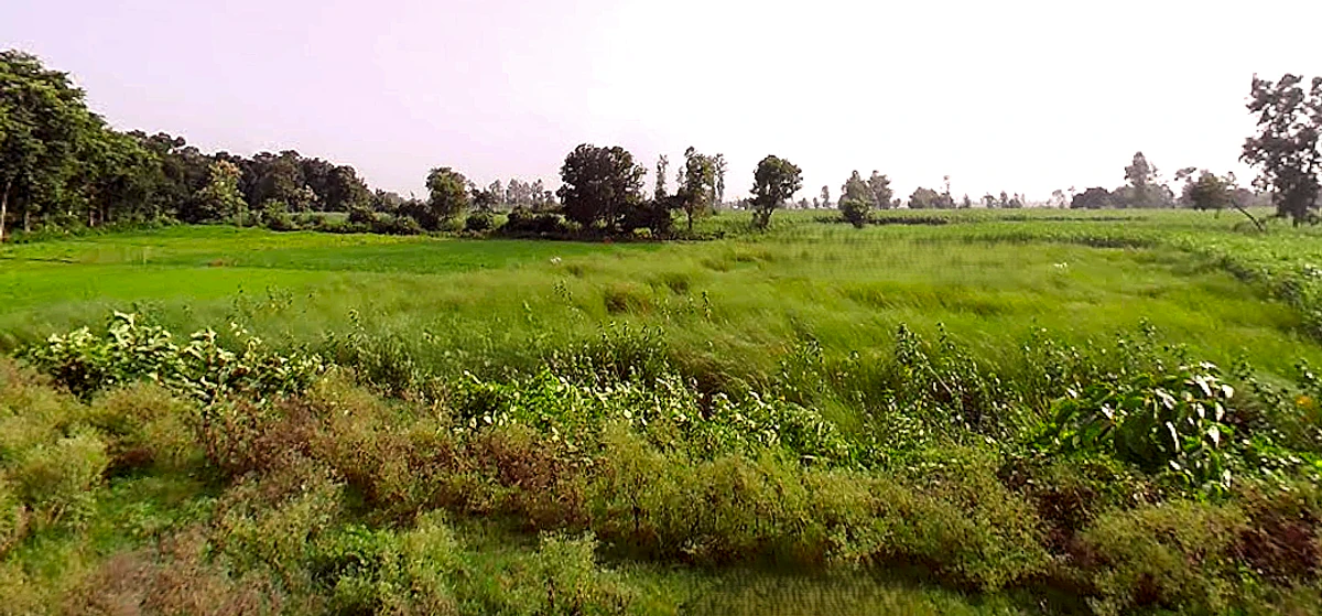 NH 730, Maharaj Nagar, Lakhimpur, Uttar Pradesh, India