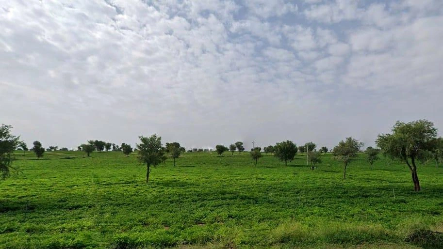 Bambloo, Rajasthan 334022, India