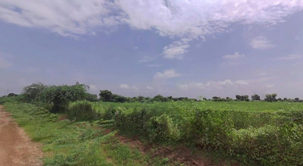 Jadan, Rajasthan 306401, India