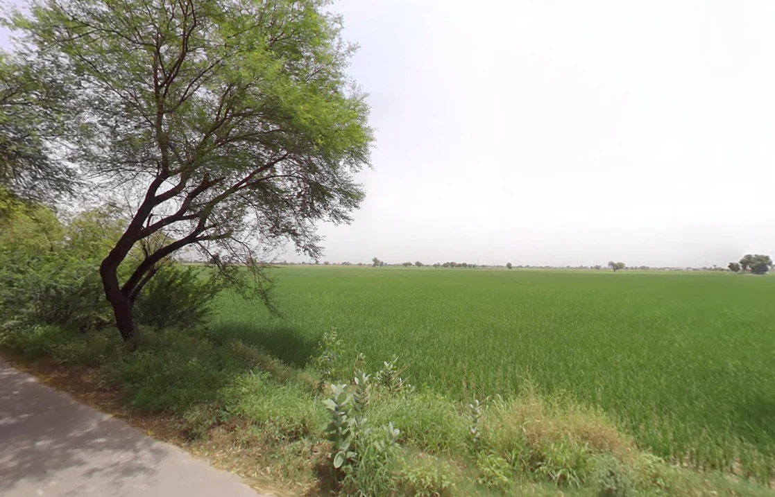 Salarpur, Haryana 125055, India