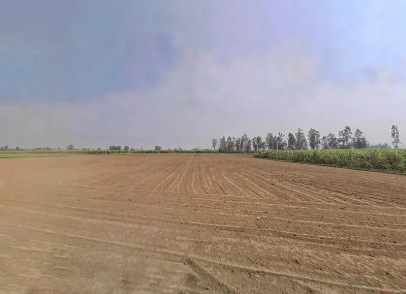 Mawana, Uttar Pradesh, India preview 2