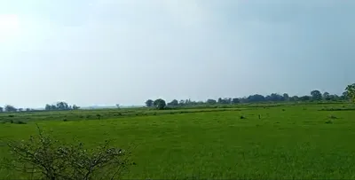 Sonapur, Rewa N.C., Assam 782402, India preview 2