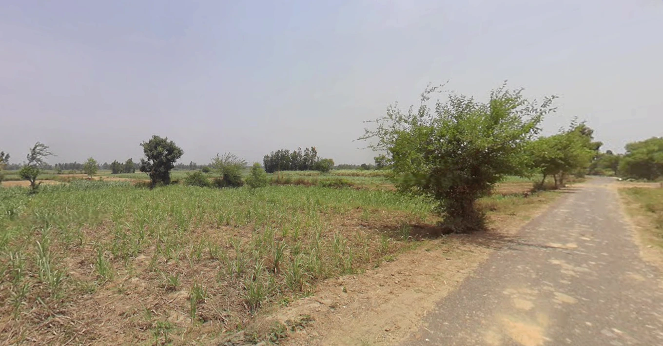 Amroha, Uttar Pradesh, India