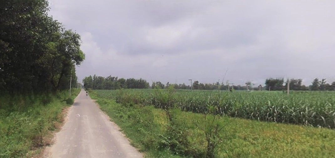 Sardhana, Uttar Pradesh 250342, India